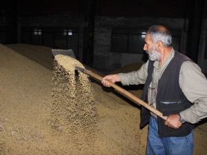 2 Milyon Tonluk Soya İthalatına Bakanlık El Attı