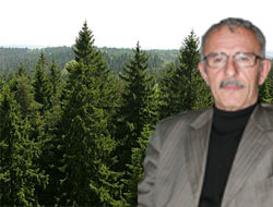 Bal Ormanına 250 Bin Fidan