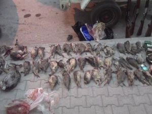 Sungurlu’da 4 Avcı Gözaltına Alındı
