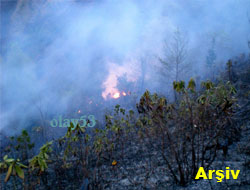Rize'de Orman Yangını