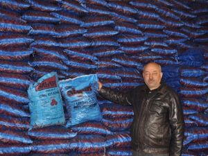 Kara Elmas Sezonu Zamla Açtı