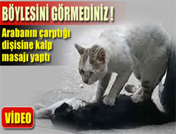 Böylesini Görmediniz ! - VİDEO