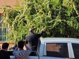 Ak Parti Genel Başkan Yardımcısı Mevlüt Çavuşoğlu: