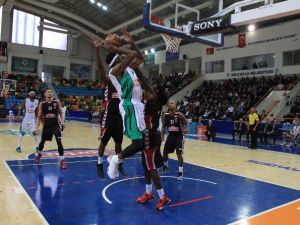 Spor Toto Basketbol Ligi
