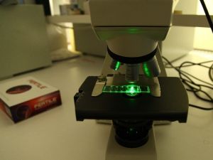 Tüp Bebekte “Çip” Teknolojisi İki Poster Sunumuna Konu Oldu