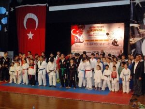 Adana’da Hapkido Şöleni