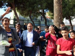 Roman Milletvekili Sandığa Güle Oynaya Gitti