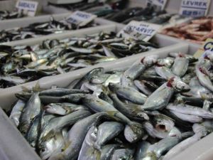 Sağlığınız İçin Balık Tüketin