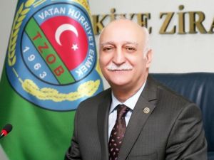 Antalya’da Turuncu Hasat Başladı