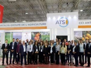 Atso Tarım Kümesi Afrika’da
