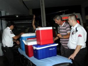 Ordu Organ Bağışında Atakta