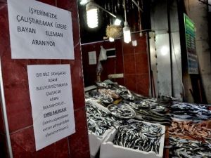 Çalıştıracak Personel Bulamayan Giresunlu Balıkçıdan İlginç İlan