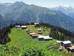 Köylülere 'Yayla Tecavüzcüsü' Şoku!