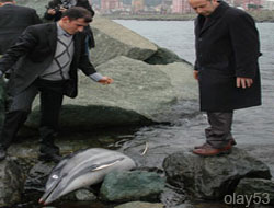 Yunus Ölümleri Araştırılacak