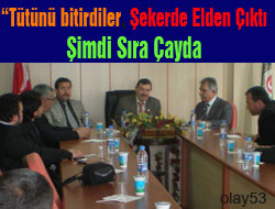 Tütünü Bitirdiler Sıra Çay'da