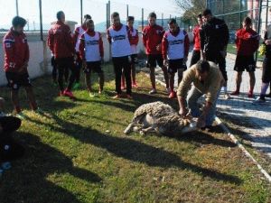 Sakatlıklardan Korunmak İçin Kurban Kestiler