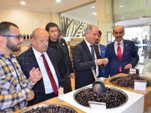 Eski İçişleri Bakanı Efkan Ala: "Artık Mazeret Yok İş Çok”