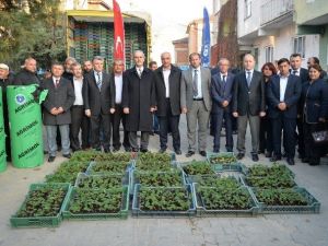Çilekte Kalite Büyükşehir İle Artıyor