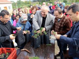 Gazi Devlet Hastanesi Çalışanlarından Fidan Dikim Etkinliği