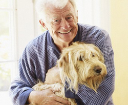 Evcil olan hayvanlar astımı tetikliyorlar