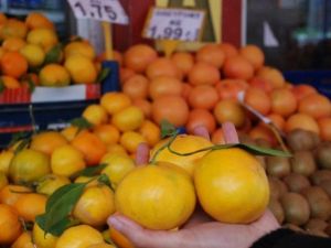 Gribal Enfeksiyona Karşı Meyve