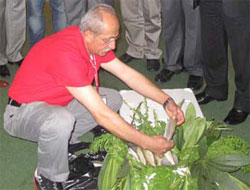 Rize'de Organik Alabalık Satışı