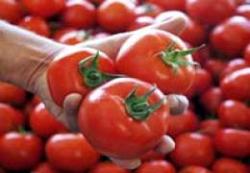 Kışın Yenen Yazlık Sebzeler Sağlık Mı?