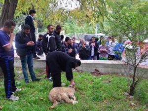 Taraftar Grubu Galibiyet İçin Kurban Kesti