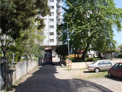 Rize'de Asfaltlama Başladı