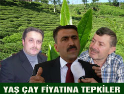 Yaş Çay Fiyatına Tepki !