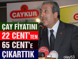 Son 15 Yılın Çay Fiyatları
