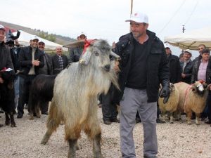 Tokat’ta 4. Tarım Ve Hayvancılık Fuarı