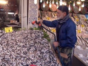 Başkent’te Hamsinin Fiyatı Esnafı Da Vatandaşı Da Üzüyor