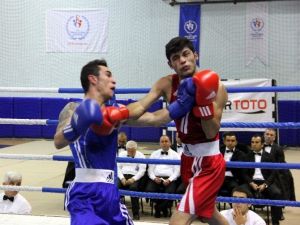 Sinan Şamil Sam Türkiye Boks Şampiyonası Eleme Müsabakaları Sona Erdi