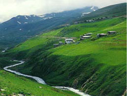 Verçenik Anzer Yolcusu