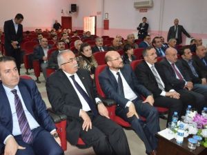Niksar, Unesco Yolunda