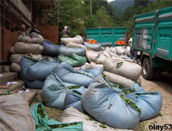 Üreticilerden Kontejan Tepkisi