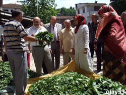 Üretici Halinden Memnun !