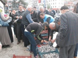 Tokat’ta 2 Ton Hamsi Ücretsiz Olarak Dağıtıldı