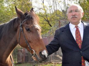 Doğu Karadeniz’in İlk Atlı Spor Kulübü Giresun’da Kuruldu