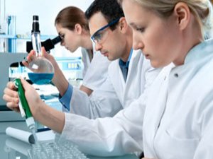 Rize'de Personel Alımı