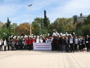 Koah’a Dikkat Çekmek Amacıyla Yürüdüler