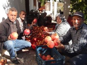Para Etmeyen Nar Ekşi Oluyor