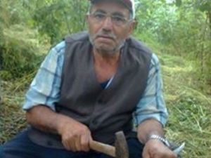 Kestiği Ağacın Altında Kaldı
