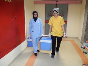 Yaşlı Adamın Organları 3 Kişiye Hayat Verecek