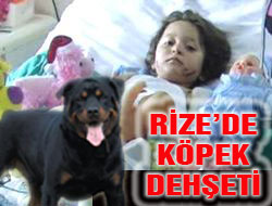 Rize'de Rottweiler Dehşeti