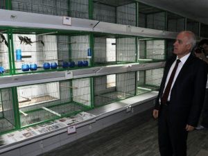 Türkiye’nin İlk Ve Tek Saka Üretim Tesisi Hizmete Girdi
