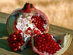 Yağ yakımında bire bir