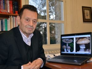 Sonbahar’da Mantar Tüketimine Dikkat