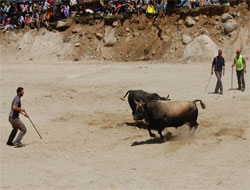 Ayder Festivali Sona Erdi